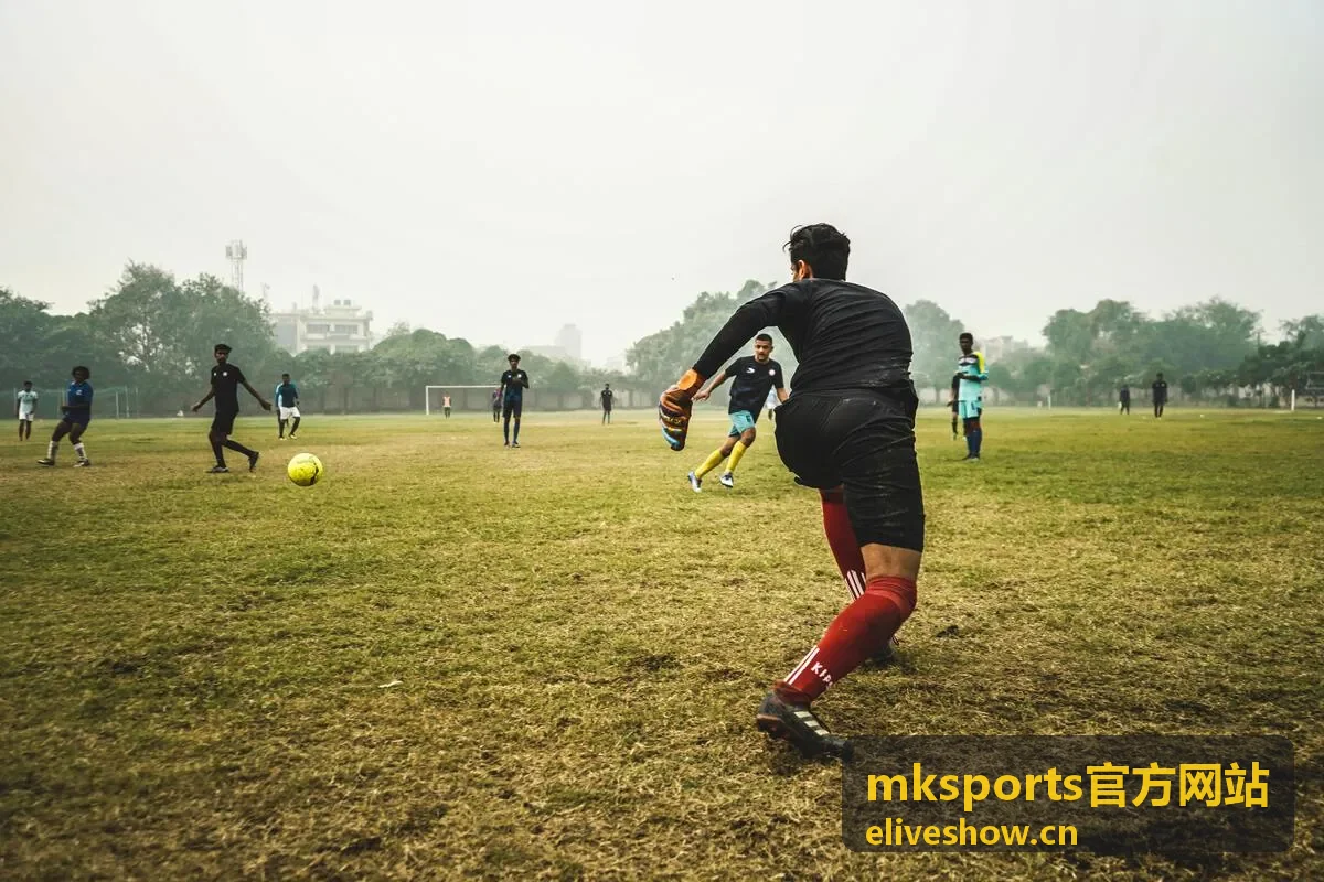 mksports官方网站 数据解读与战报栏目的赛后数据看板示意