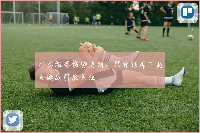 尤戈维奇伤势更新，预计缺席下轮关键战引发关注