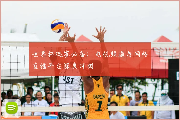 世界杯观赛必备:电视频道与网络直播平台深度评测