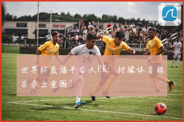 世界杯直播平台大PK：柠檬体育能否杀出重围？
