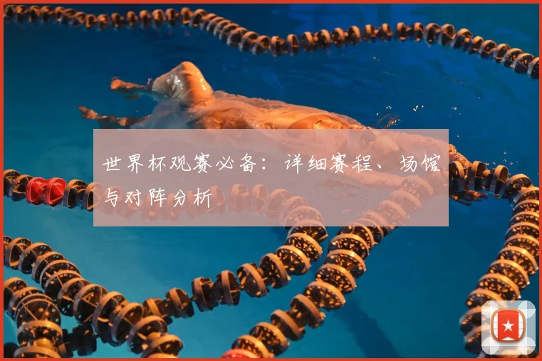 世界杯观赛必备:详细赛程、场馆与对阵分析