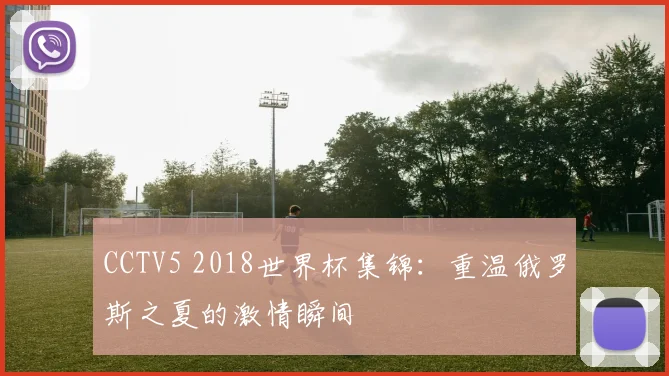 CCTV5 2018世界杯集锦:重温俄罗斯之夏的激情瞬间