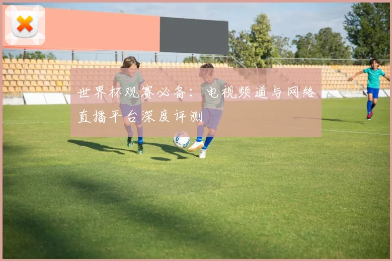 世界杯观赛必备:电视频道与网络直播平台深度评测