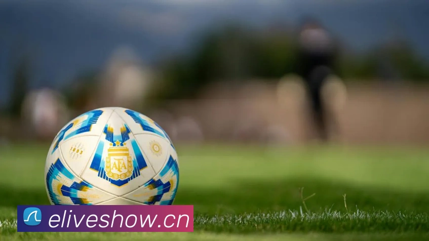 多媒体互动体验